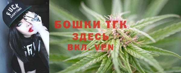 винт Вяземский