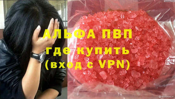 винт Вяземский