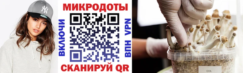 Купить  Теберда  Псилоцибиновые грибы Magic Shrooms 